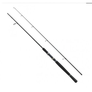 Fladen Xtra Flexx 180 40-80 gr Spin Kamış