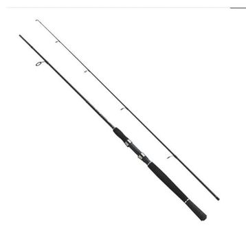 Fladen Xtra Flexx 180 40-80 gr Spin Kamış