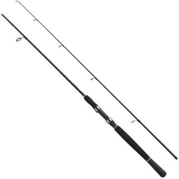 Fladen Xtra Flexx 5-100 gr 2 Parça 165 cm 2 Parça Tekne Bot Kamışı