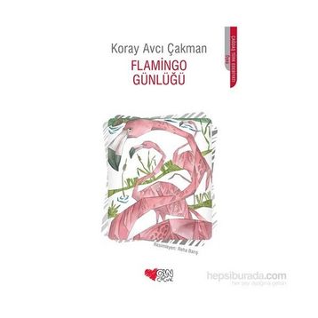 Flamingo Günlüğü - Koray Avcı Çakman