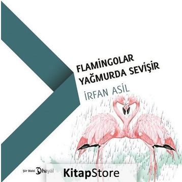 Flamingolar Yağmurda Sevişir - İrfan Asil