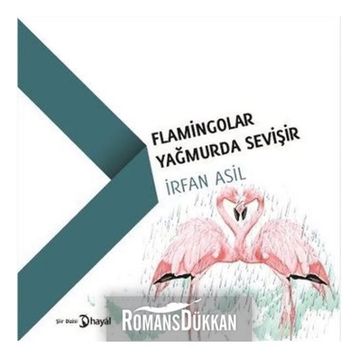 Flamingolar Yağmurda Sevişir - İrfan Asil