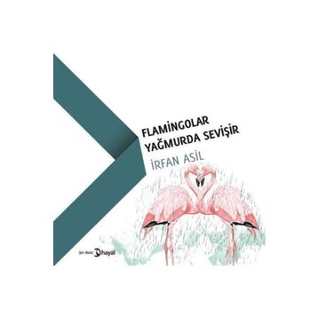 Flamingolar Yağmurda Sevişir - İrfan Asil