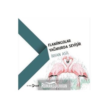 Flamingolar Yağmurda Sevişir - İrfan Asil