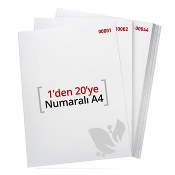 Flex 1-20 80 gr A4 Kağıt