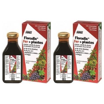 Floradix Demir Vitamin İçeren 250 ml Şurup