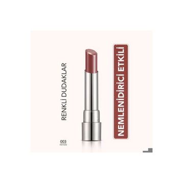 Flormar Sheer Up No: 003 Pinky Nude Ruj