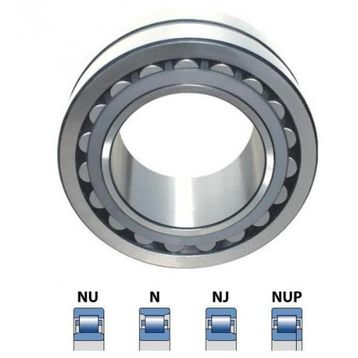 FLT NU 209 E 45X85X19 mm Rulman