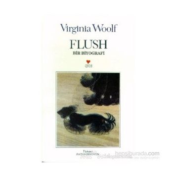 Flush Bir Biyografi - Genel
