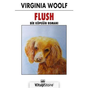Flush - Bir Köpeğin Romanı - Virginia Woolf