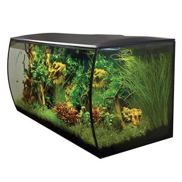 Fluval Flex 123 lt Siyah Akvaryum