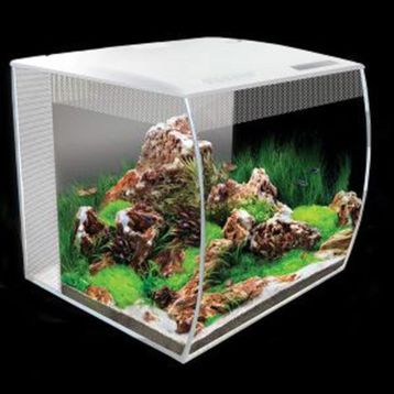 Fluval Flex 34 lt Beyaz Akvaryum
