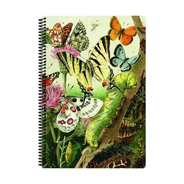Flynet Art Style A4 80 Yaprak Çizgili PP Kapak Spiralli Defter
