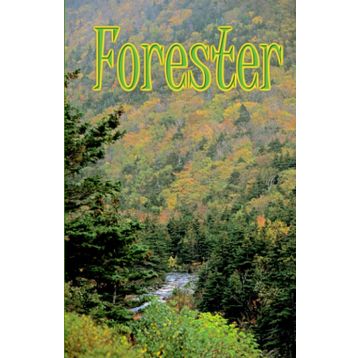 Forester Erkek Günlük Ayakkabı