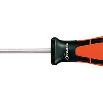 Format 58830050 T 15x 80 mm Torx Tornavida