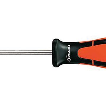 Format 58830050 T 15x 80 mm Torx Tornavida