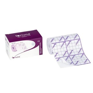 Fortune Fix 5 mt 2.5 cm Flaster