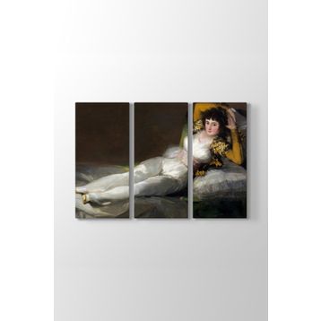 Francisco Goya - Giyinik Maya Tablosu