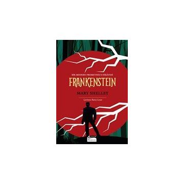 Frankenstein Bez Ciltli - Mary Shelley