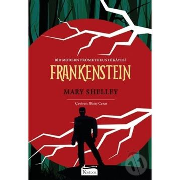 Frankenstein Bez Ciltli - Mary Shelley
