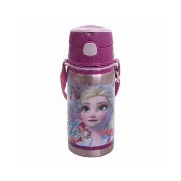 Frozen 42072 500 ML Hidden Truth Salto Çelik Matara