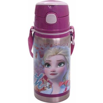 Frozen 42072 500 ML Hidden Truth Salto Çelik Matara