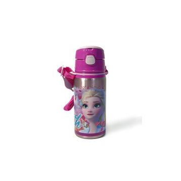 Frozen 42072 500 ML Hidden Truth Salto Çelik Matara