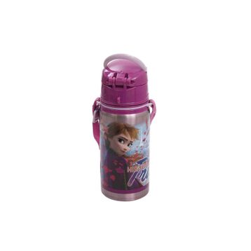 Frozen 42072 500 ML Hidden Truth Salto Çelik Matara