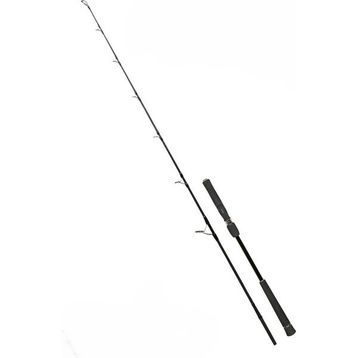 Fujin Valhalla Bigsea 178 cm 250 gr Speed Jig Live Bait Kamışı
