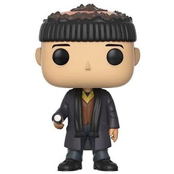 Funko 21797 Harry Home Alone Pop Vinyl Figür