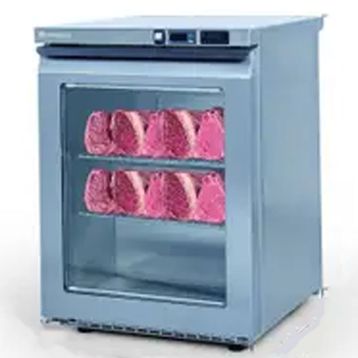 Galleyz Mini Dry Aged Mavi Mini Buzdolabı