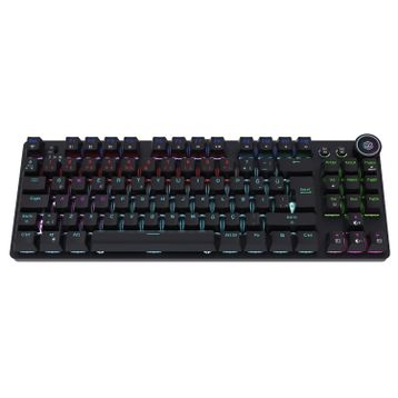 GameBooster Ryba TKL Blue Switch Kablolu/Kablosuz Mekanik Gaming Klavye