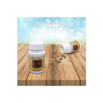 Gano Excel Ganoderma 90 Kapsül