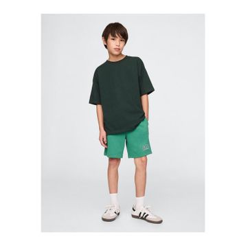 GAP 742934001 V-Frch Ft Logo Erkek Çocuk Şort