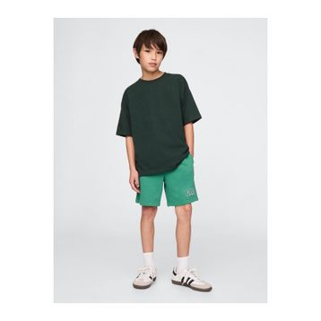 GAP 742934001 V-Frch Ft Logo Erkek Çocuk Şort