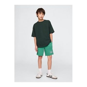 GAP 742934001 V-Frch Ft Logo Erkek Çocuk Şort