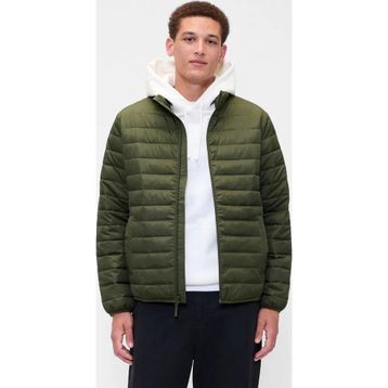 GAP 790583002 Logo Puffer Yeşil Günlük Stil Erkek Mont