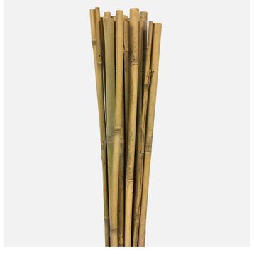 Gardener Bambu 180 cm Bitki Destek Çubuğu
