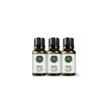 Gardone 10 ml Okaliptüs Uçucu Yağı Buhurdanlık Ortam Kokusu (3 adet)