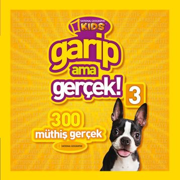 Garip Ama Gerçek 3 - kollektif