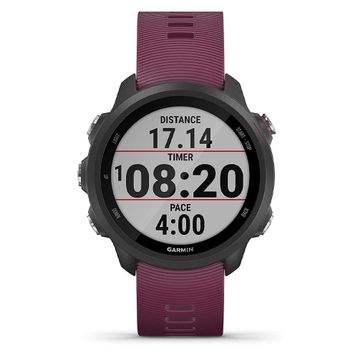 Garmin Forerunner 245 Akıllı Saat