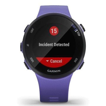 Garmin Forerunner 45S Akıllı Saat
