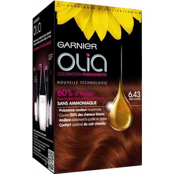 Garnıer Olia No:6.43 Bakır Saç Boyası