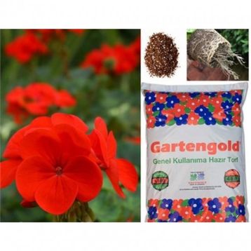 Gartengold 2.5 lt Organik Genel Kullanım Torf