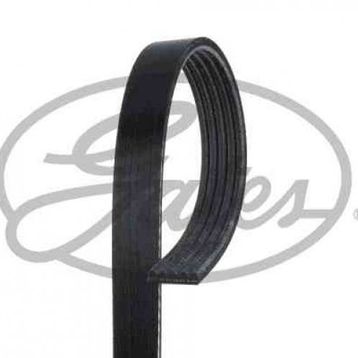 Gates 2PJ786 Kanallı Kayış