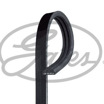 Gates 3PK628SF Kanallı Kayış