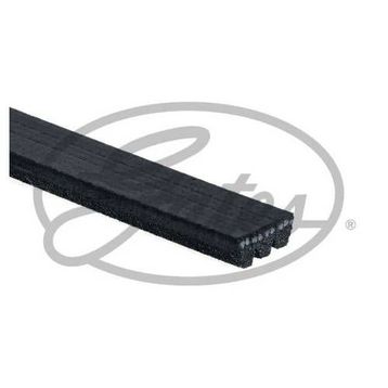 Gates 3PK842SF Kanallı Kayış