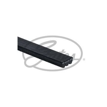 Gates 3PK842SF Kanallı Kayış