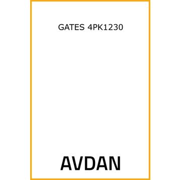 Gates 4PK1230 Kanallı Kayış