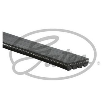 Gates 4PK813 Kanallı Kayış